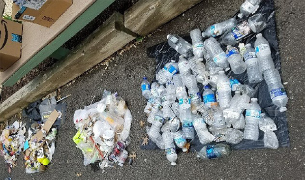 Items collected during a trash clean-up